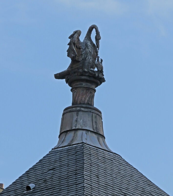 Пеликан на крыше церкви Сен-Сюльпис - ИРЭН@ .