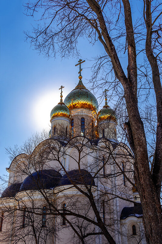 Церковь Матроны Московской - Алексей Л