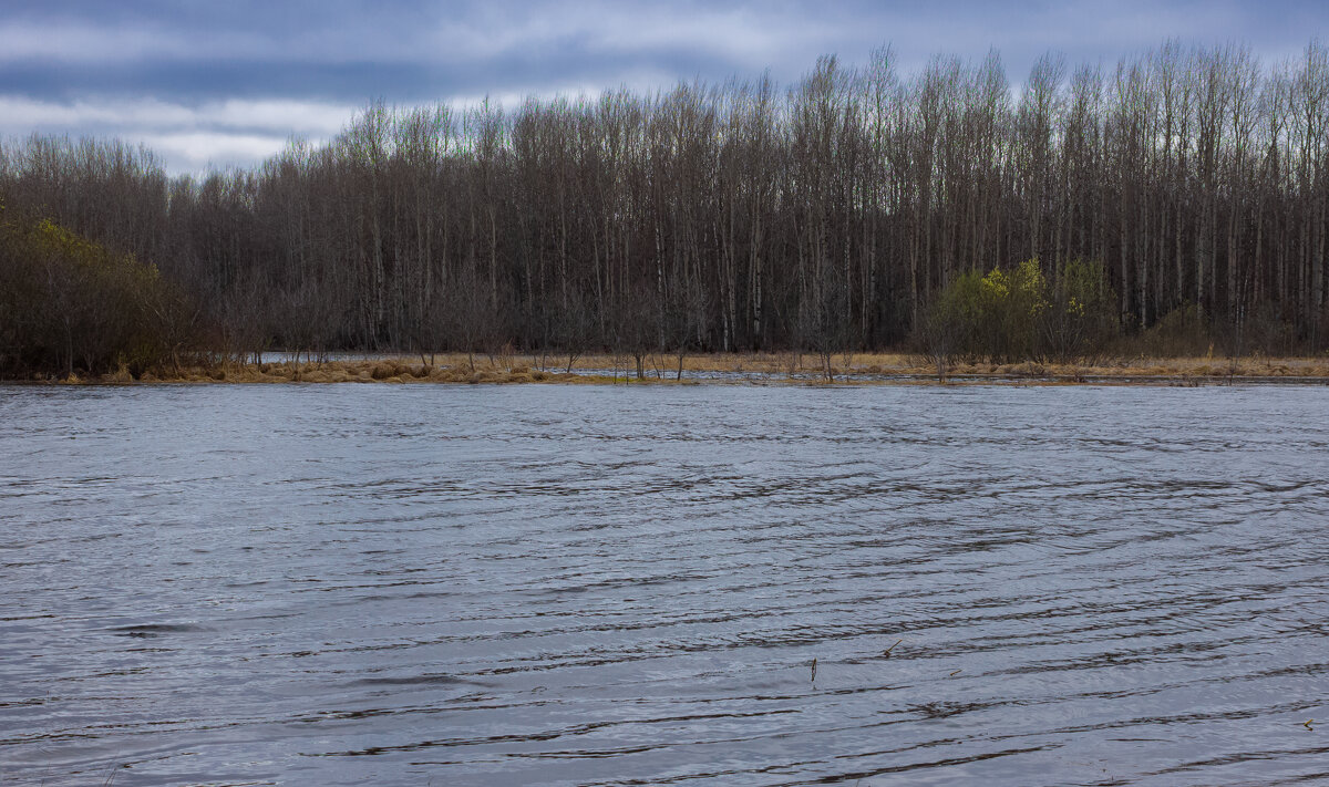 Full-flowing Bolshoy Puchkas river on a cloudy spring day - Sergey Sonvar