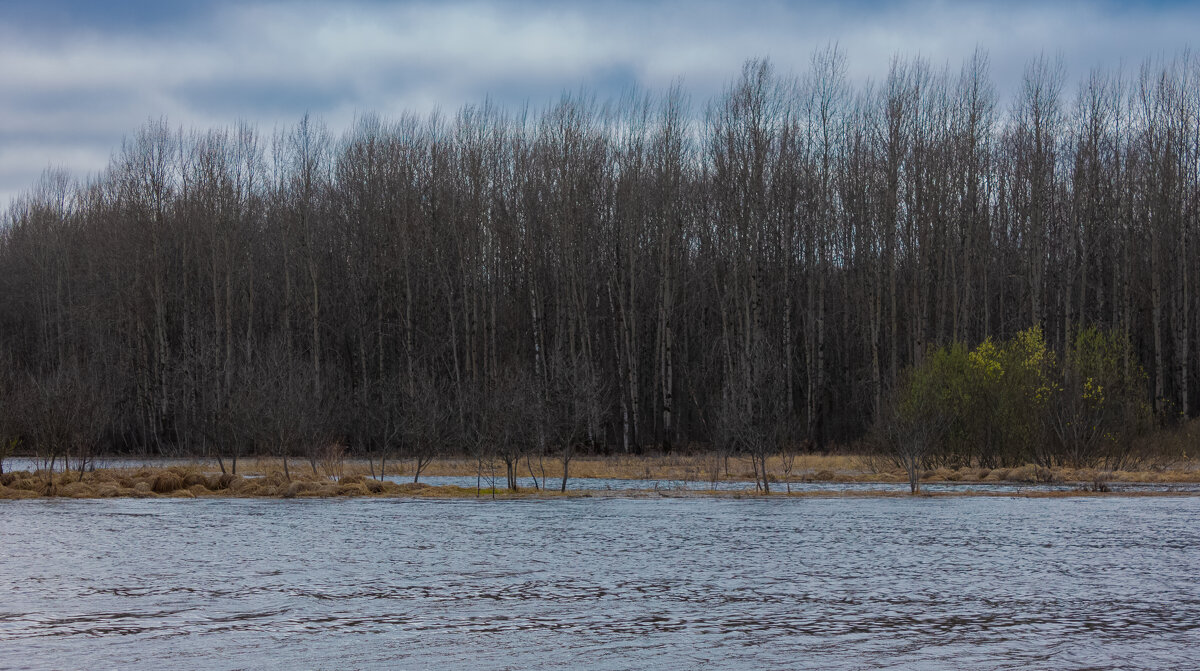 On a cloudy April day near the forest river Bolshoy Puchkas - Sergey Sonvar