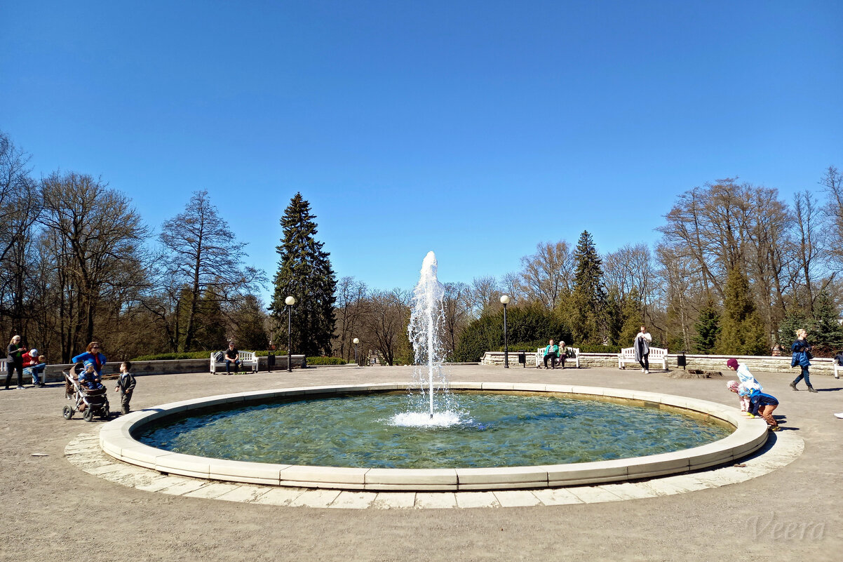 Весна в парке Кадриорг - veera v