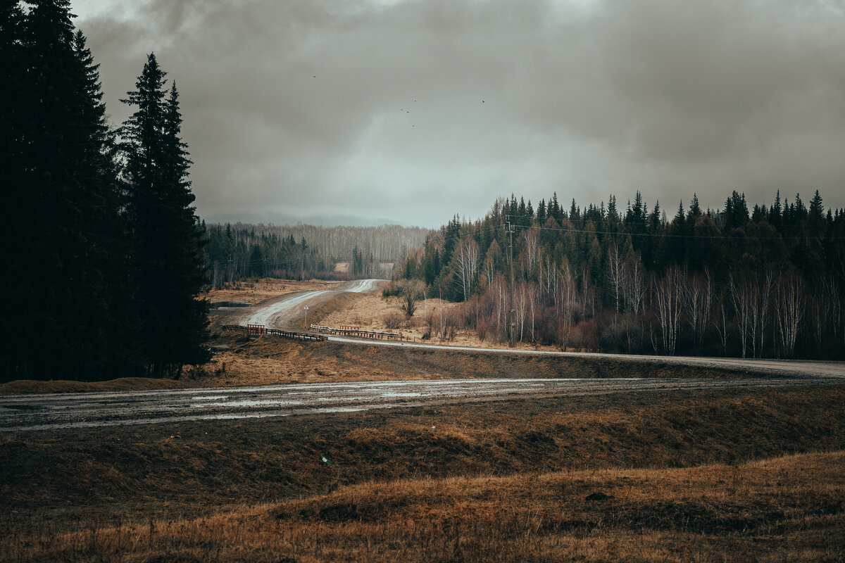 Весенняя дорога после дождя - Станислав Брисач
