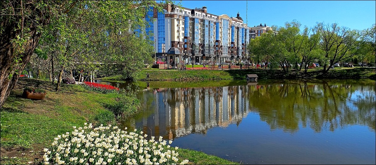 Река в цвету - Сеня Белгородский