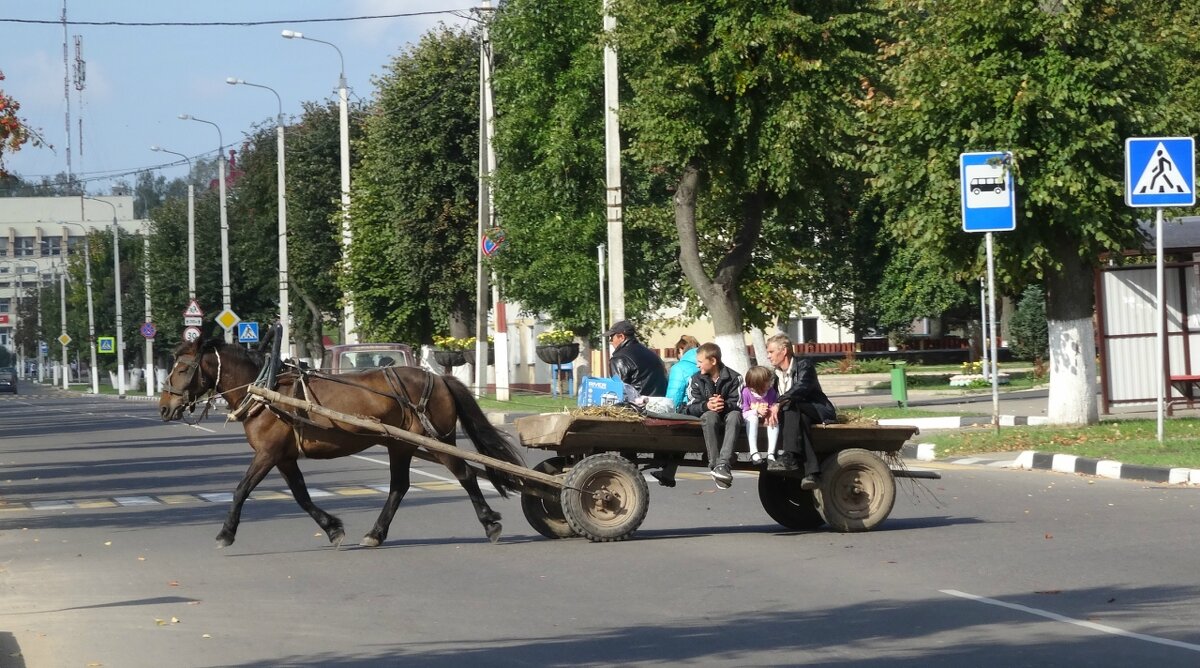 По делам - PRP 