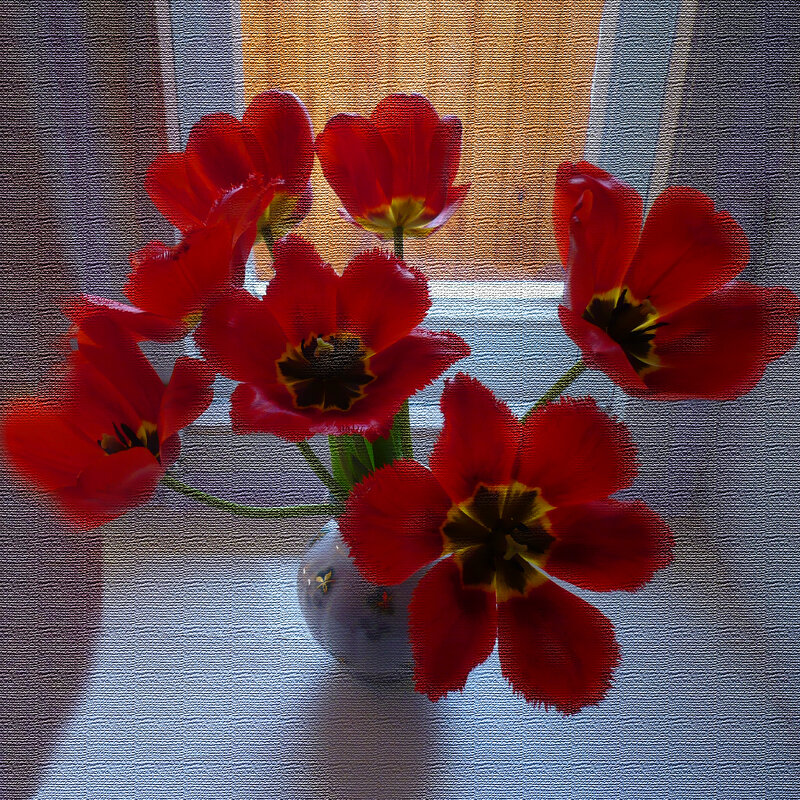 Царские тюльпаны - Евгений 