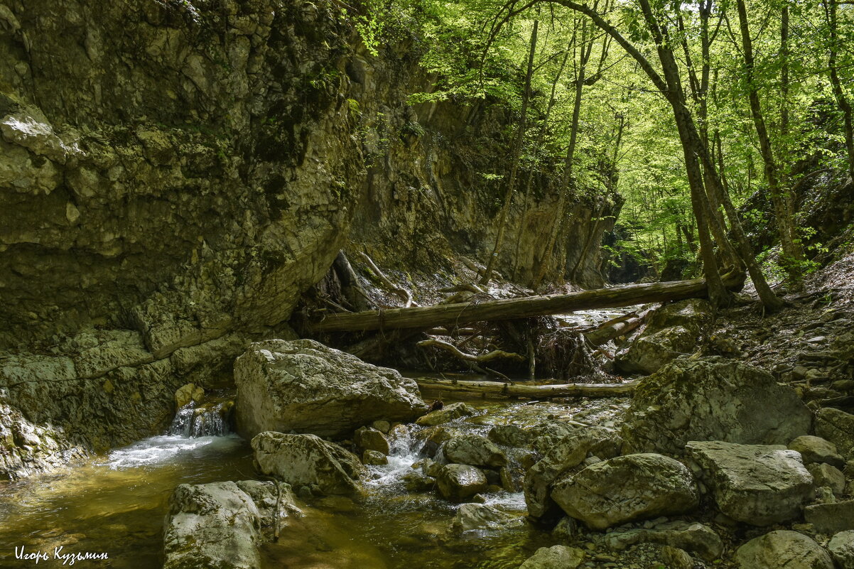 Кучук-Карасу, ущелье Кок-Асан - Игорь Кузьмин