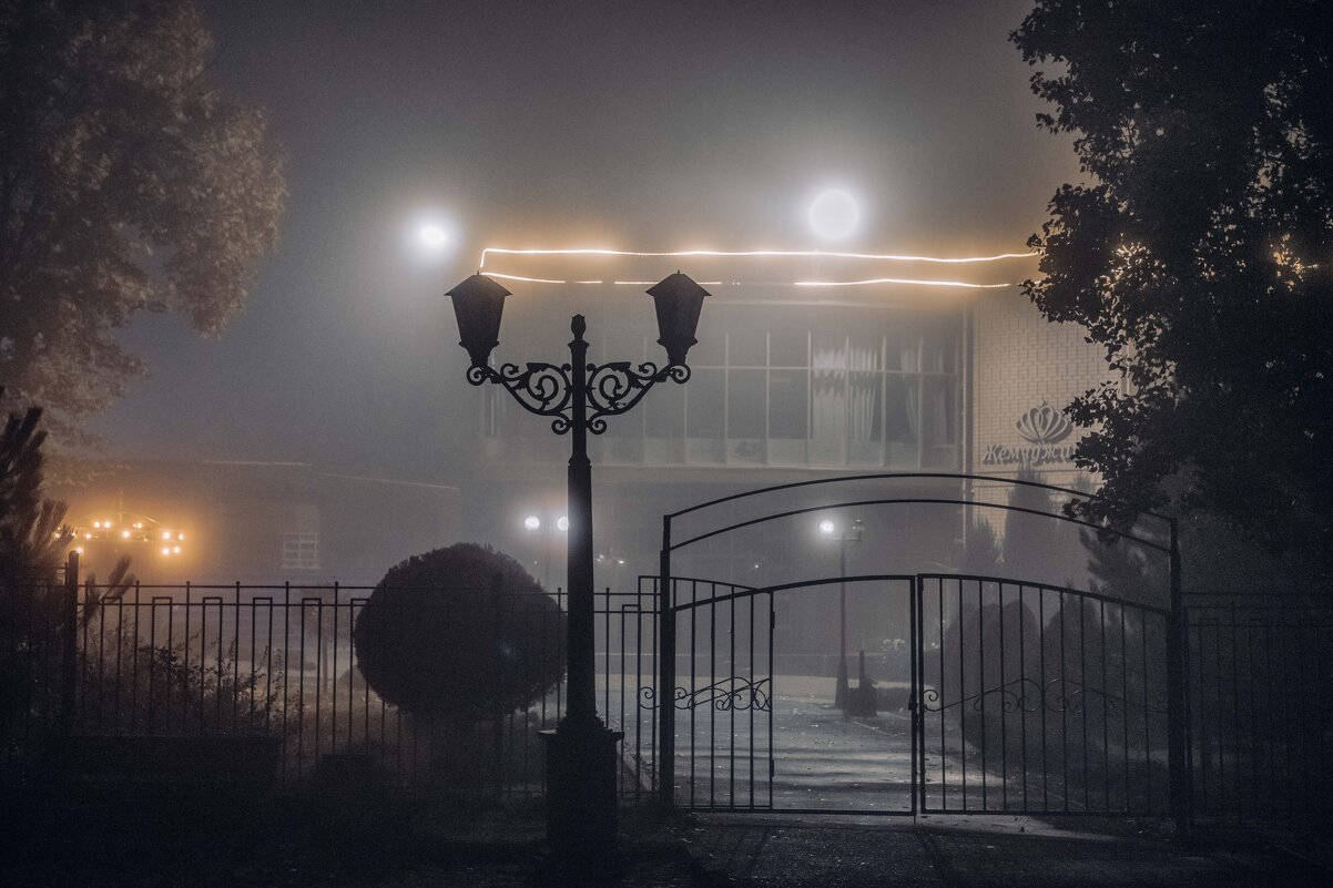 Туманная ночь - Константин Бобинский