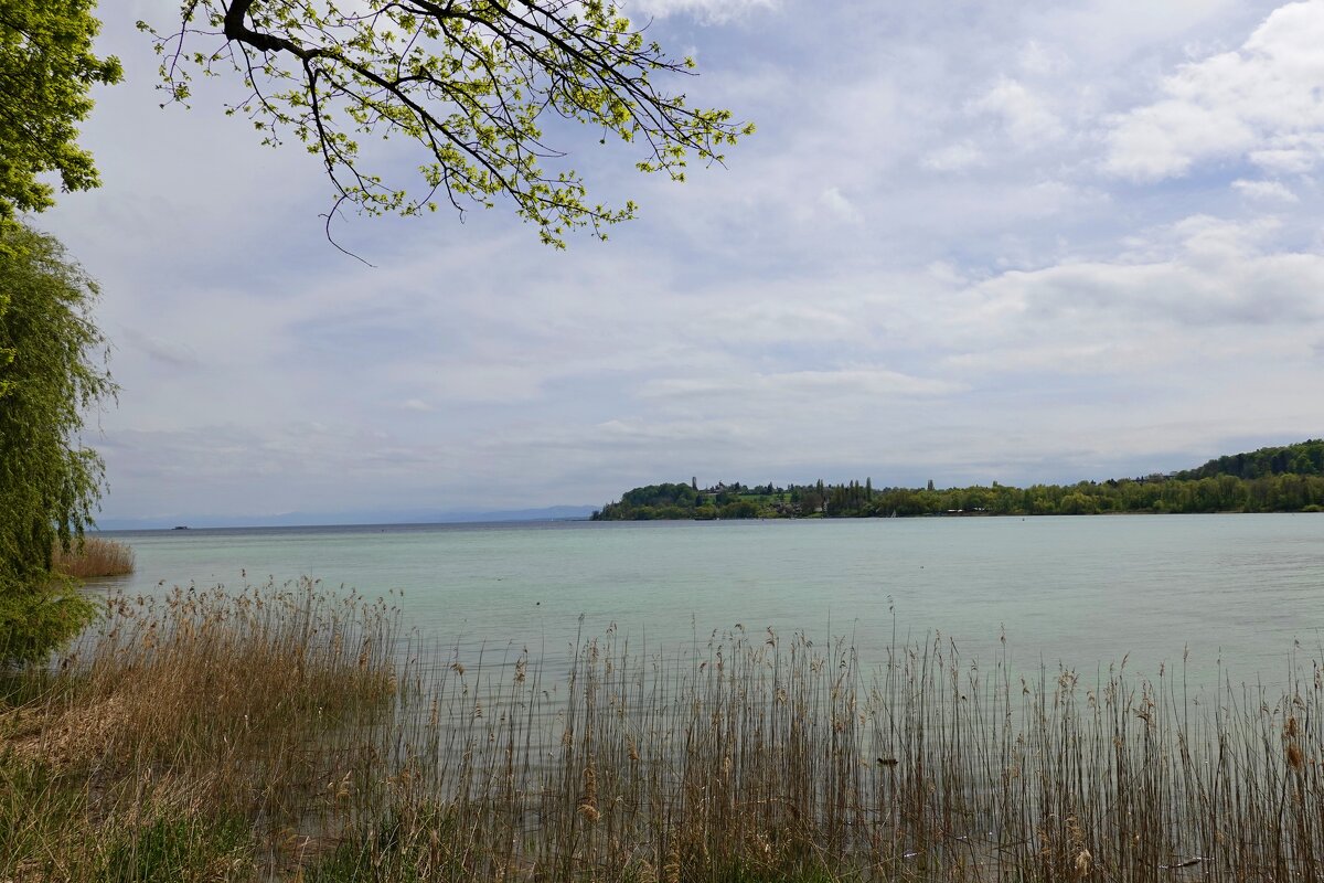 Боденское озеро...вид с острова Майнау...... - Galina Dzubina