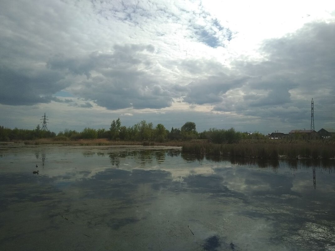 Река Свияга - Наталья Абрамова