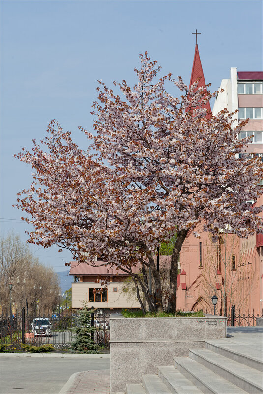 *** - Сергей Калиновский