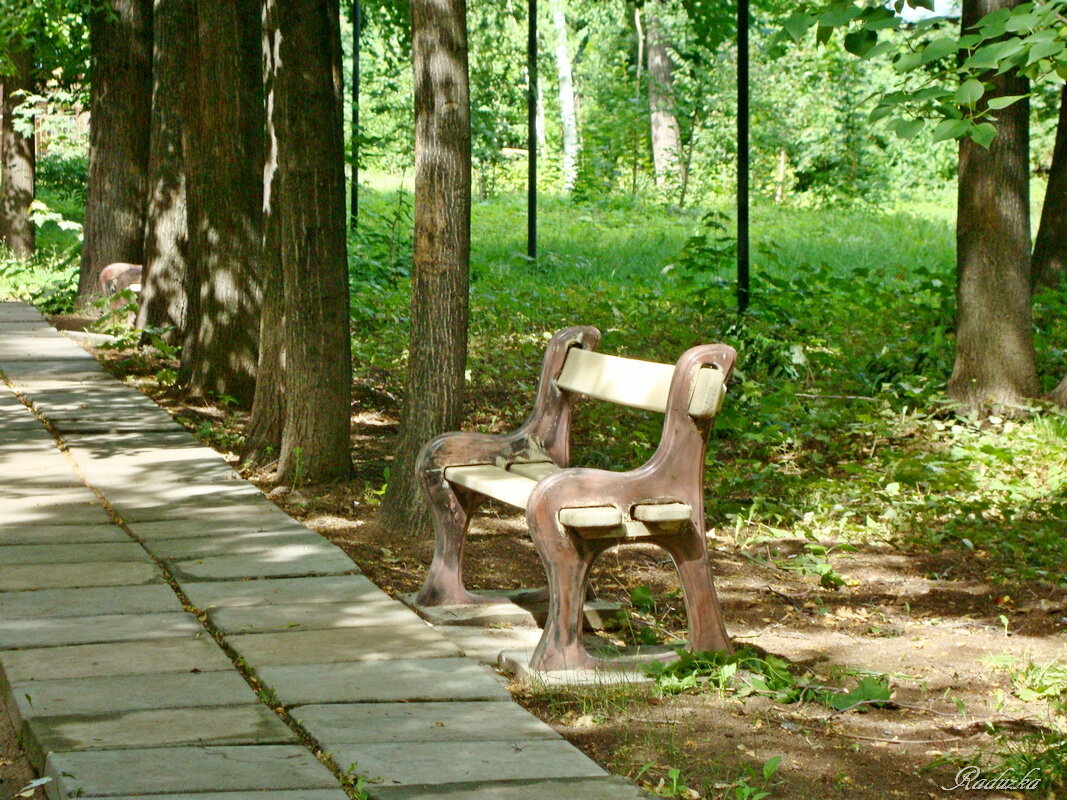Интересная скамья в парке - Raduzka (Надежда Веркина)
