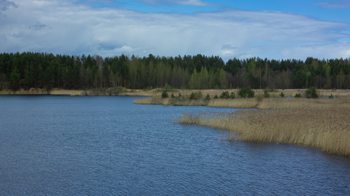 Small quarry near the forest in May | 6 - Sergey Sonvar