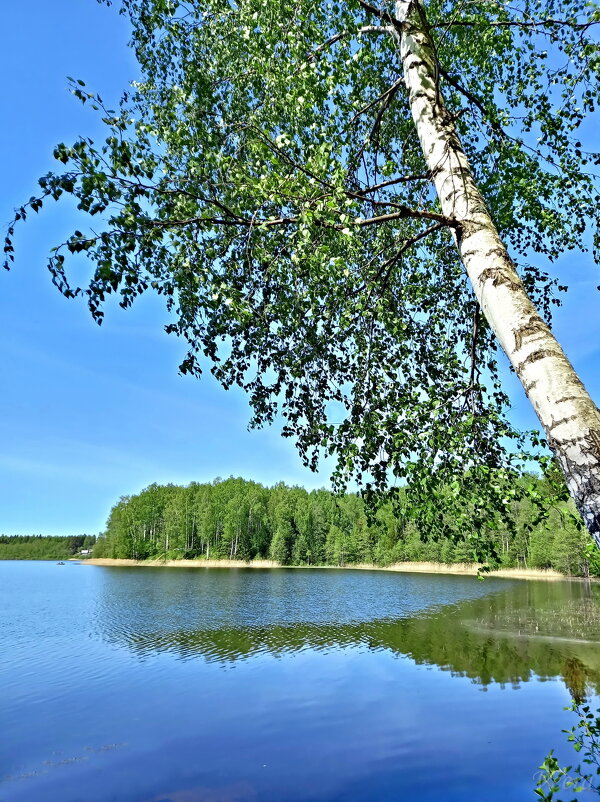 Озеро Комсу - veera v
