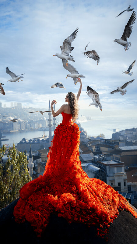 Стамбульские крыши с чайками. :: Анатолий Гузенко – Социальная сеть ФотоКто