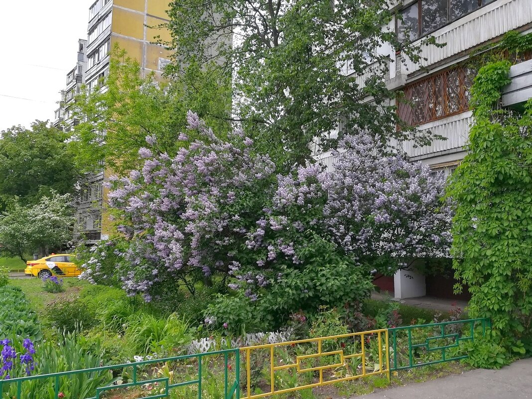 Городские зарисовки - Ольга Довженко