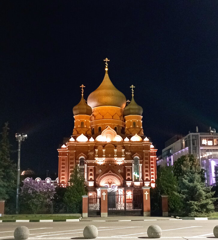 Тула. Кафедральный собор Успения Пресвятой Богородицы - Николай 