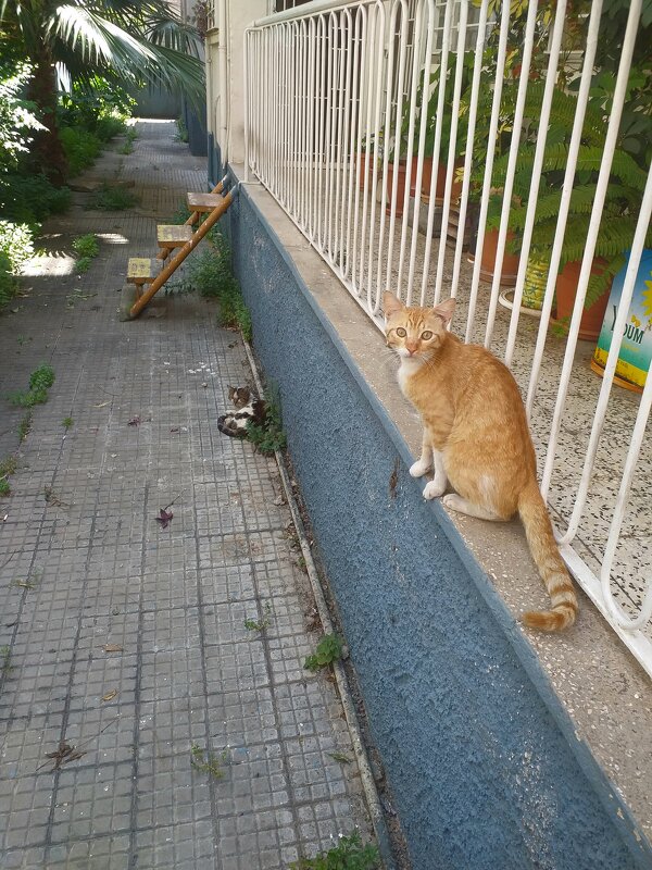 Mersin. - Murat Bukaev 