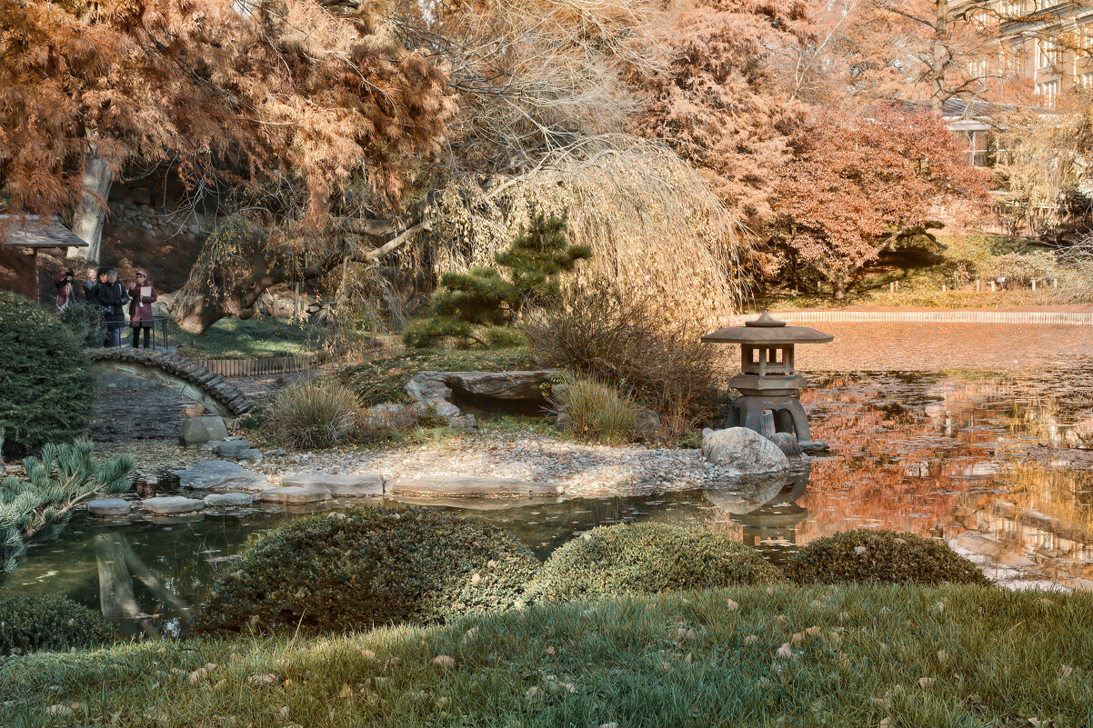 Японский пруд в Бруклинском ботаническом саду - Олег Чемоданов