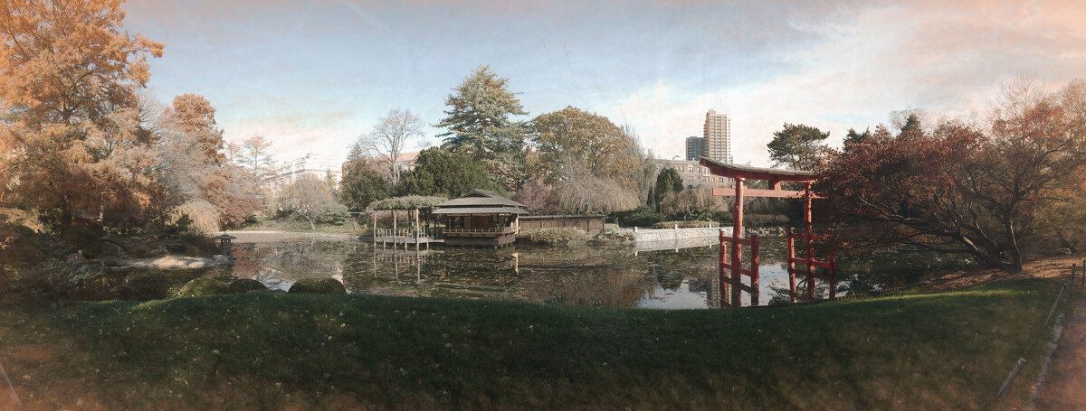 Панорама японского пруда в Бруклинском ботаническом саду - Олег Чемоданов