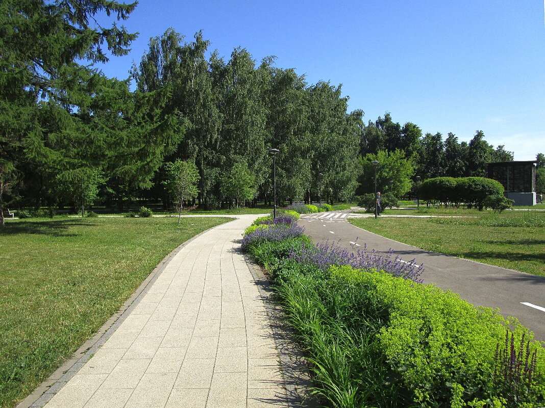 Парк  «Сад будущего» в Москве - Ольга Довженко