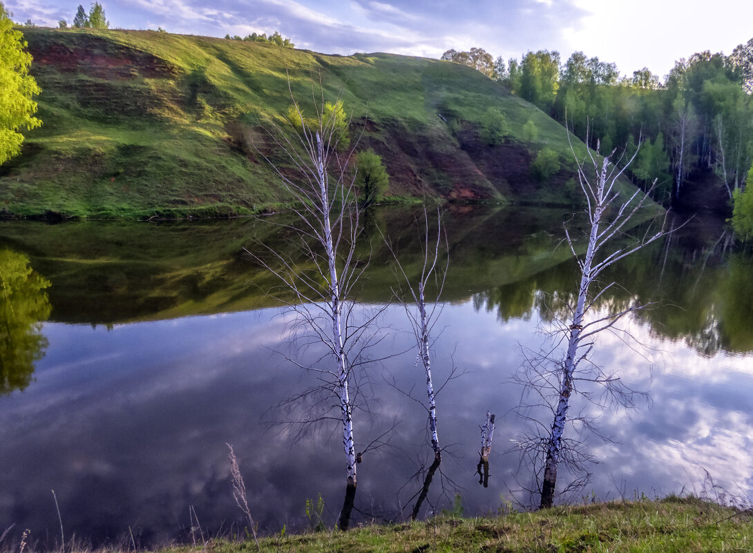 Утро на озере - Сергей Цветков