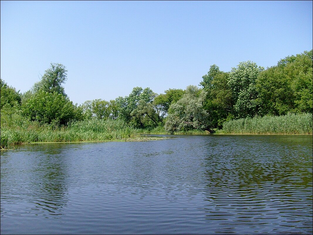 река Нежеголь - Сеня Белгородский