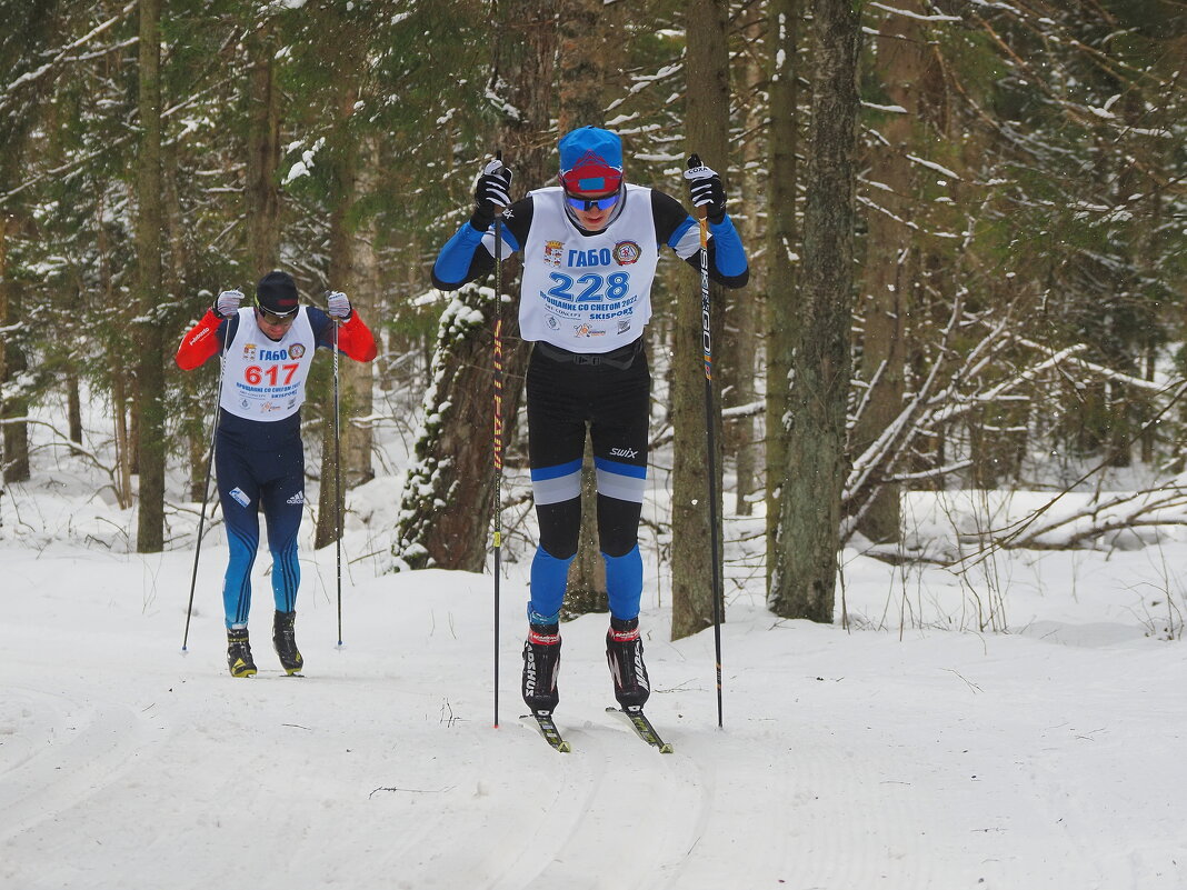 Лыжные гонки - Евгений Седов