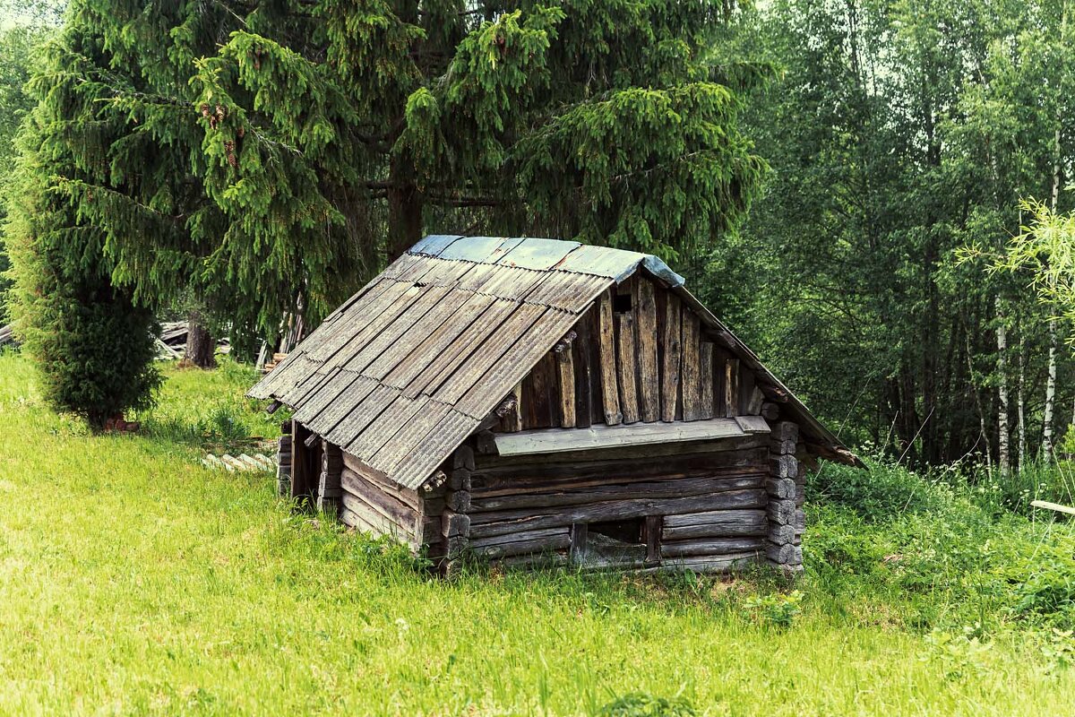 Банька по чёрному - Александр 