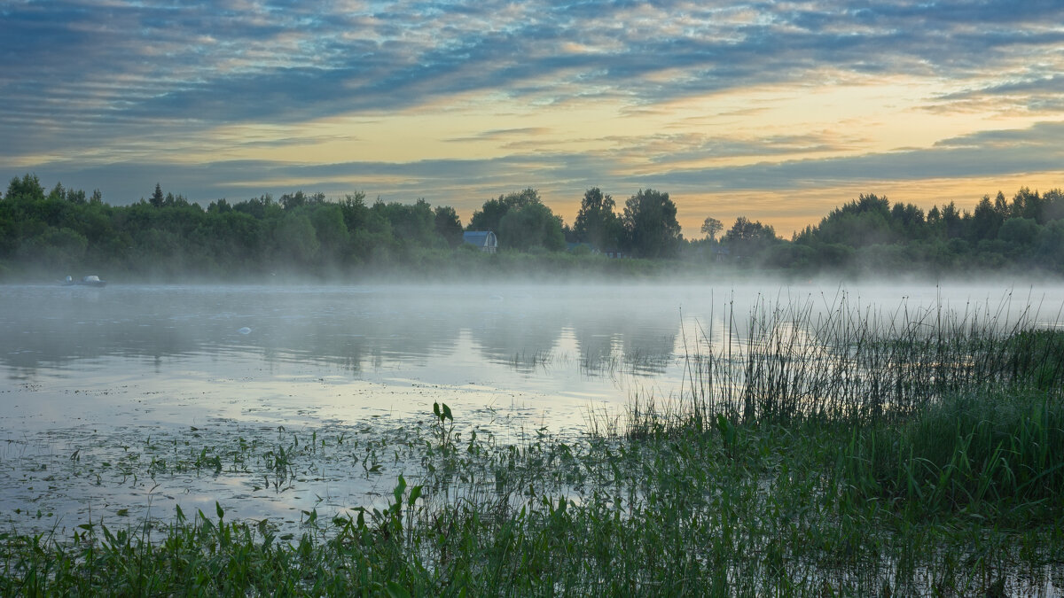 June morning near the Sukhona River | 9 - Sergey Sonvar