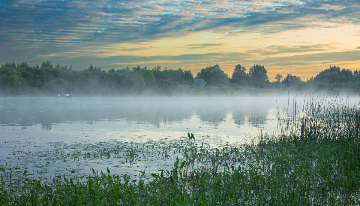 June morning near the Sukhona River | 14 - Sergey Sonvar