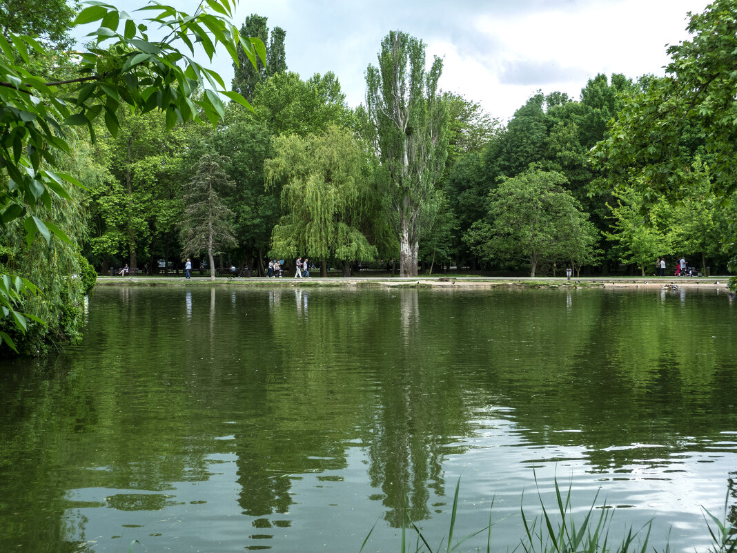 Весенний  пейзаж  в парке Ю А Гагарина,Симферополь - Валентин Семчишин