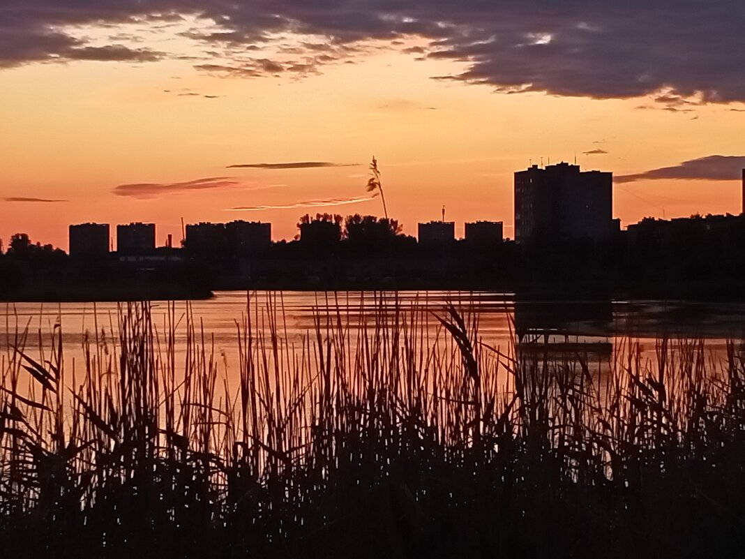 Лето . Солнце . Петербург . - Татьяна 