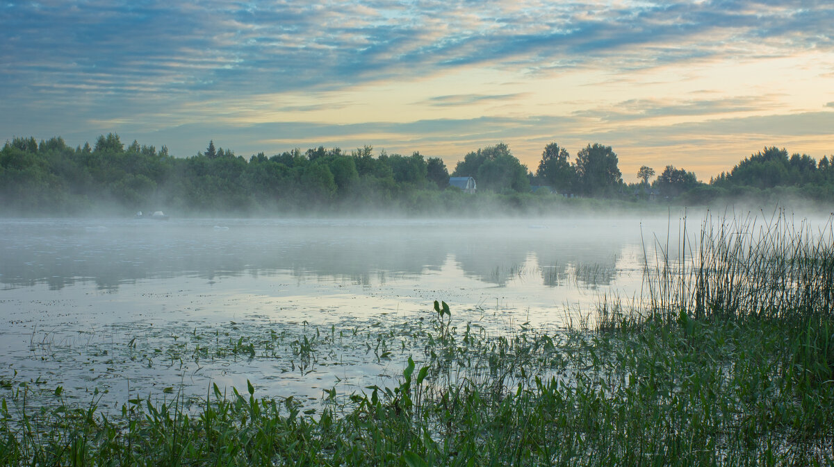 June morning near the Sukhona River | 16 - Sergey Sonvar