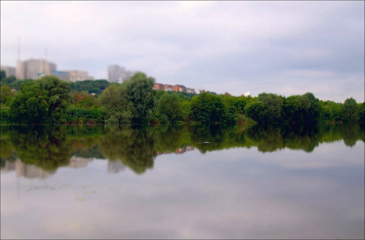 Берег реки Везелицы - Сеня Белгородский