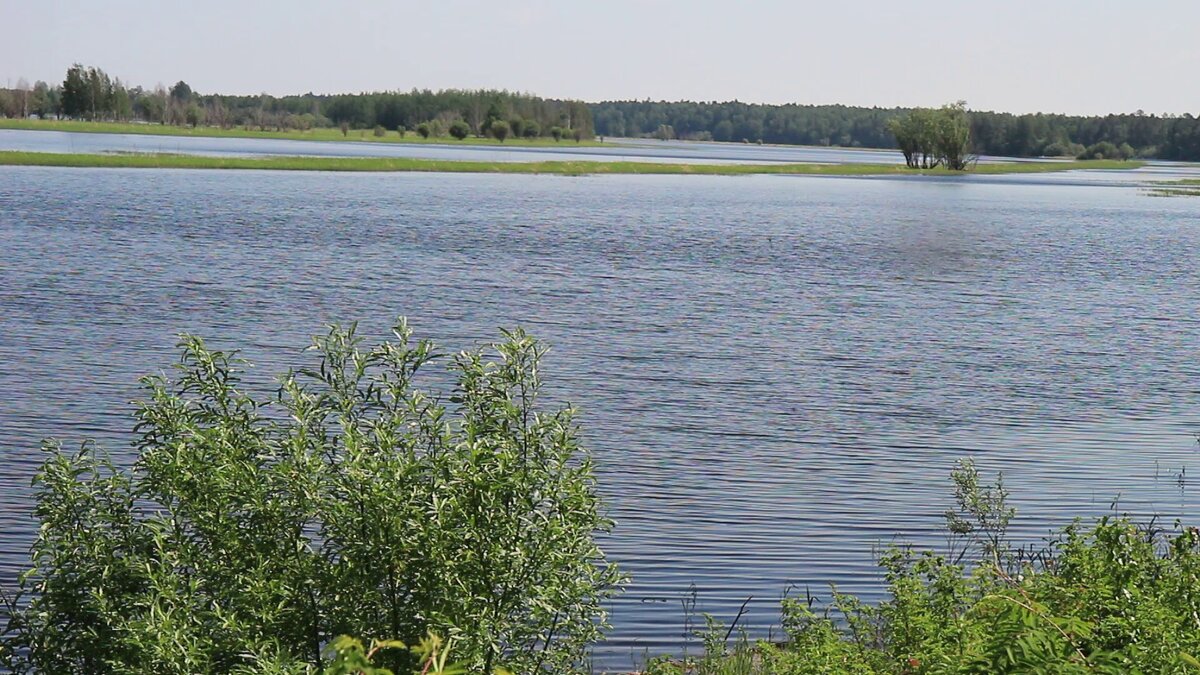 Июнь...Пора полой воды! - Владимир 