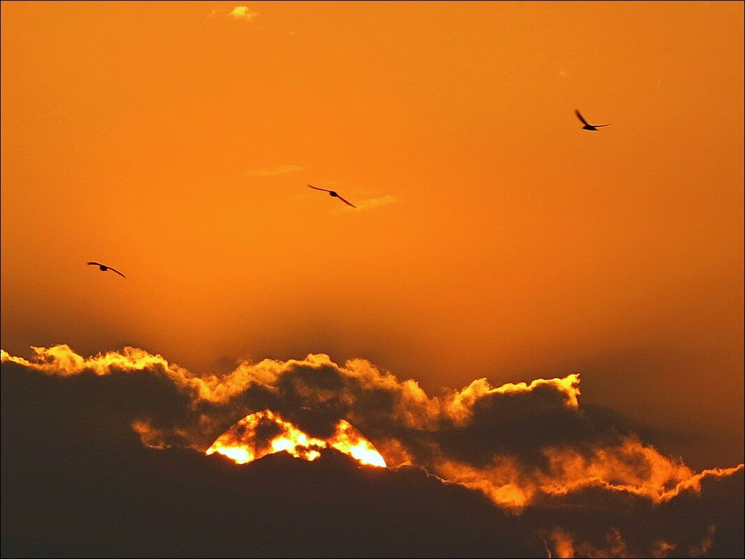 Чайки над облачным морем - Сеня Белгородский