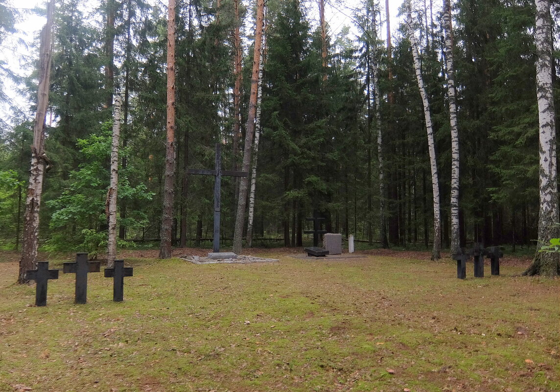 Мемориальное кладбище военнопленных около посёлка Мишеронский. - Люба 