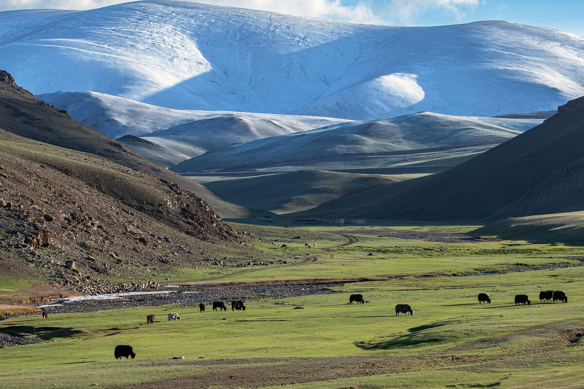 Монголия.Горы, долины и яки - Galina 