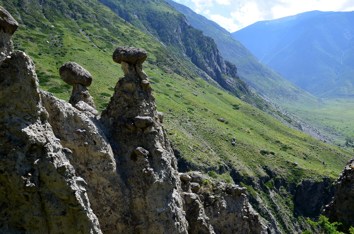 Каменные грибы Чулышман горный Алтай