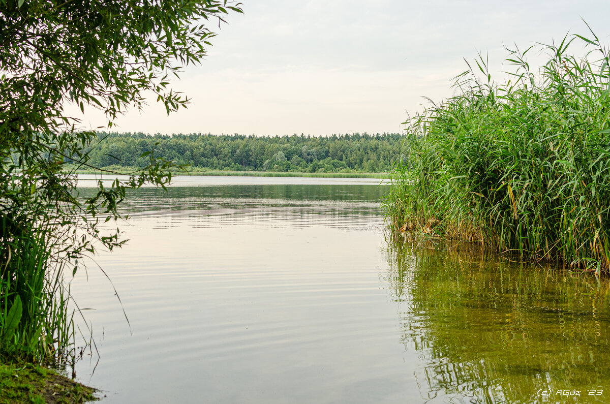 Озеро - Andrej Guz