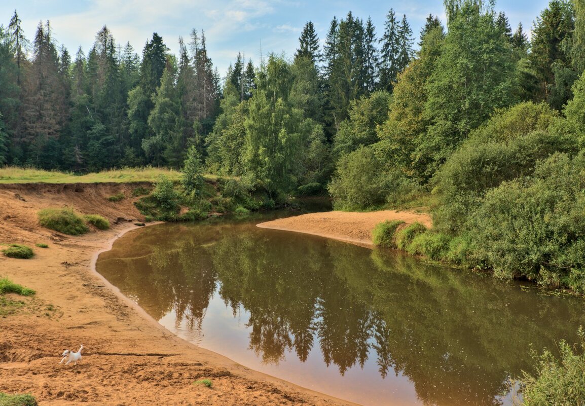 ленобласть реки