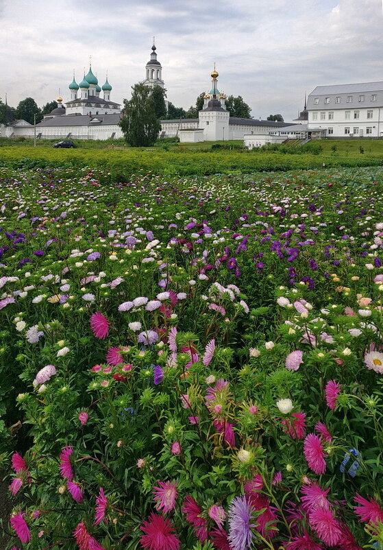 Цветочное поле, православный монастырь - Николай Белавин