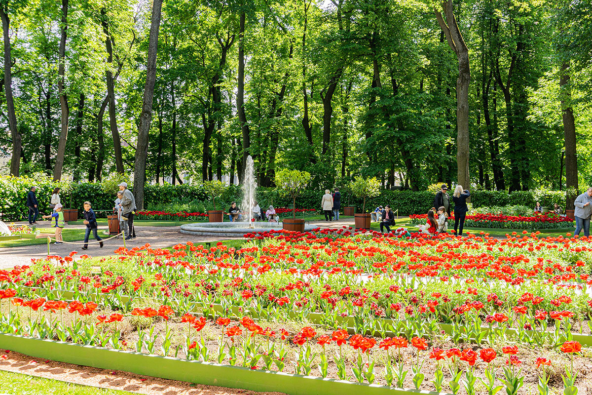 В Летнем саду - Ирина Соловьёва