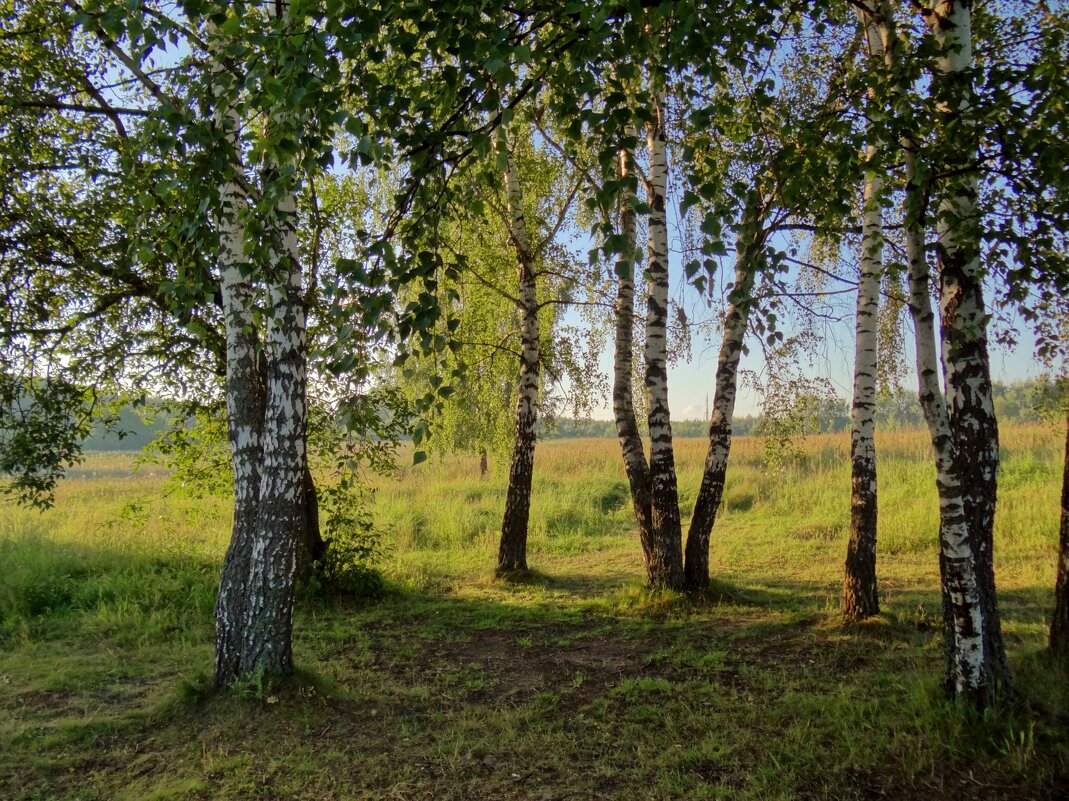 лето августа - Валентина. .