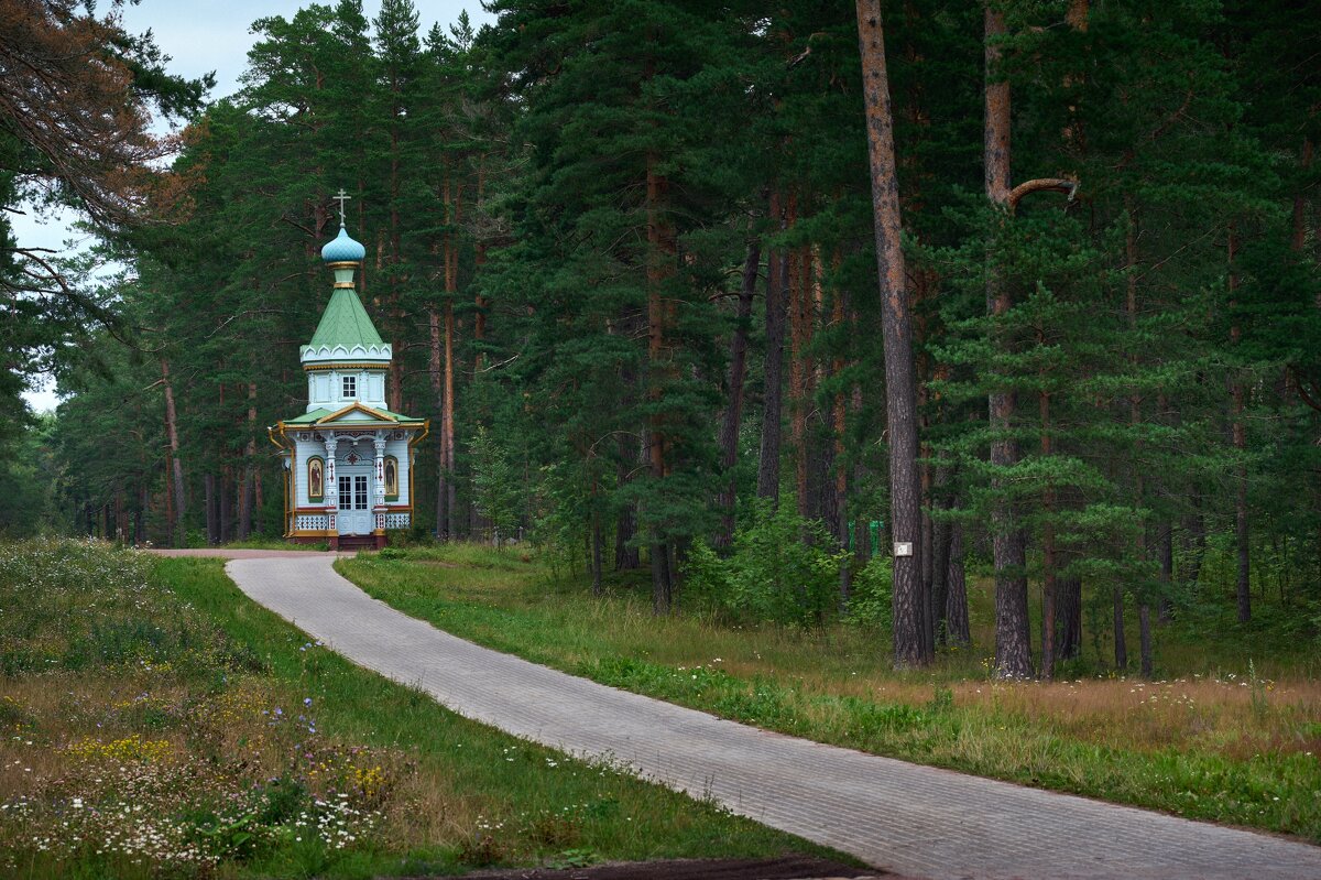 Дорога к храму - Юрий Бутусов