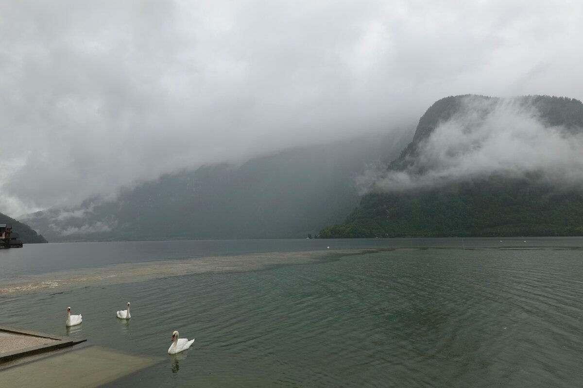 Озеро Гальштатзее в Австрийских Альпах....дождливо... - Galina Dzubina