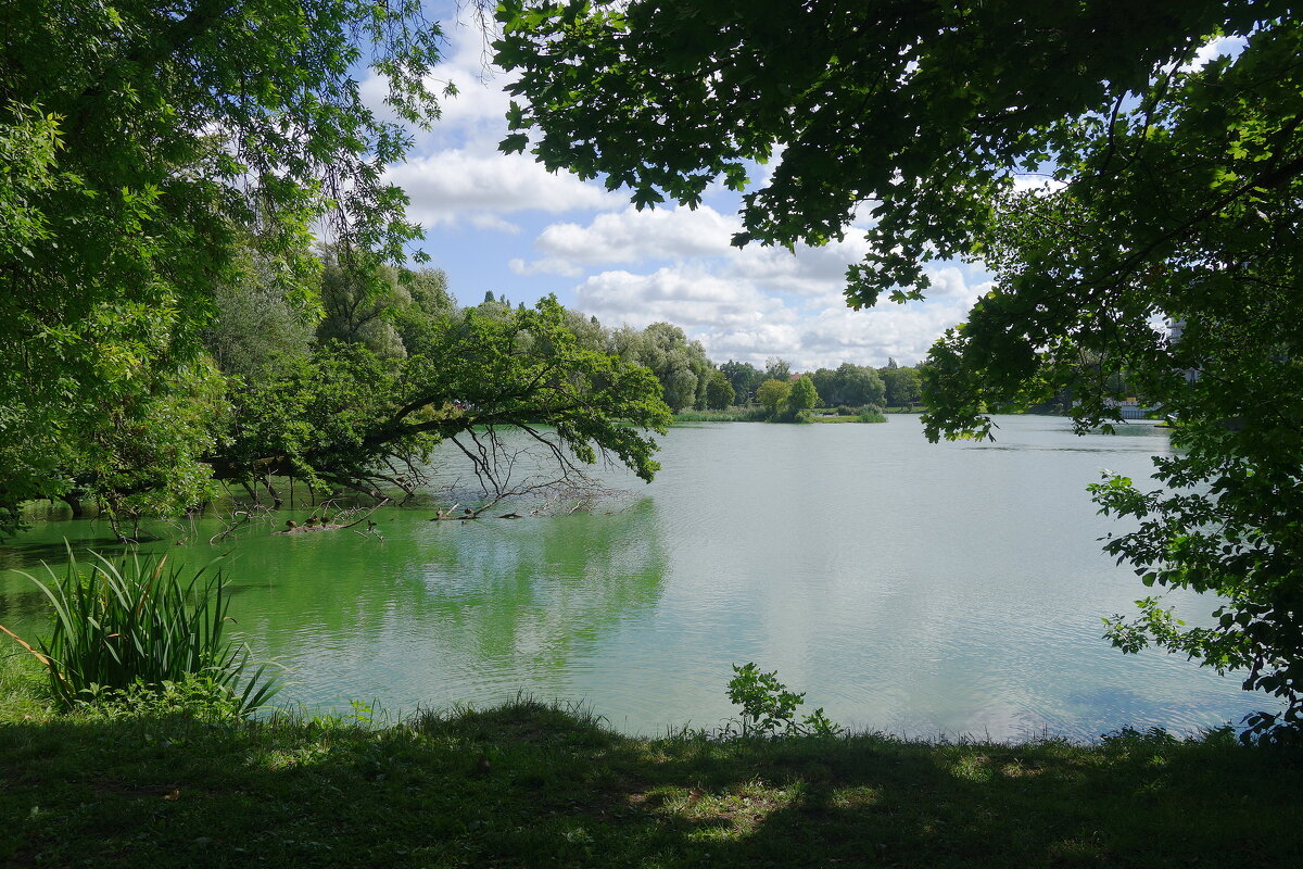 Август в городском парке - Маргарита Батырева