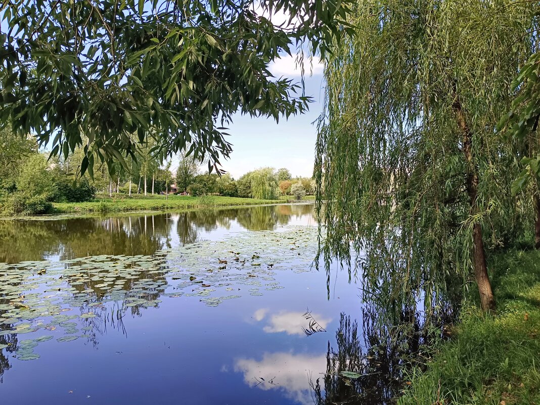 Вид на Ижору - Мария Васильева