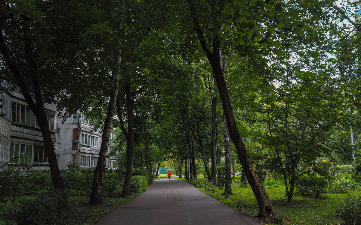 Городская Зарисовка - юрий поляков