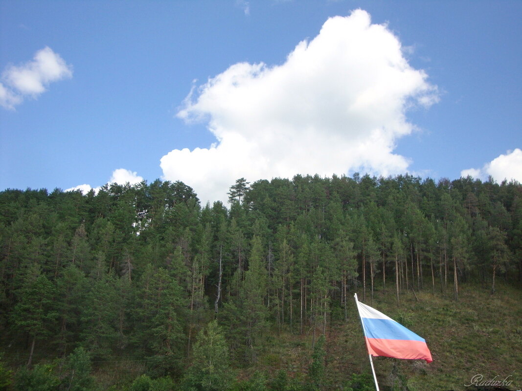 Танаевский лес, Россия - Raduzka (Надежда Веркина)